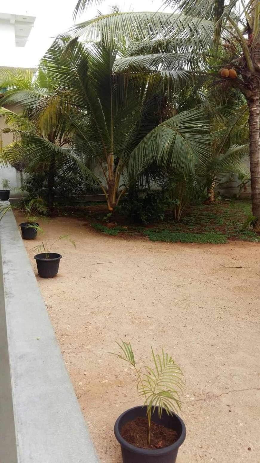 New Ocean Breeze Madiha Hotel Matara Exterior photo
